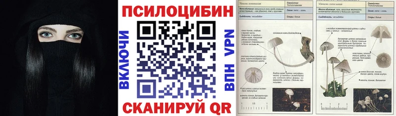 Галлюциногенные грибы мицелий  Купить закладки  Куйбышев 